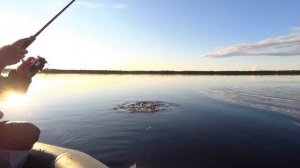 Озеро Скорбеж - 24.07.2020 ловим щуку