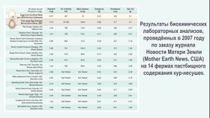 Пастбищное яйцо от вольных кур на зелёных лугах - Дары Северной Колхиды!