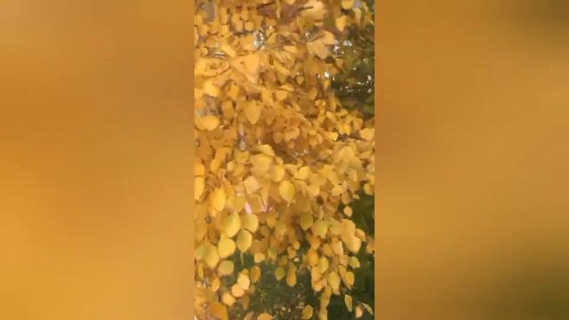 Нужно бросить эту дурную привычку: ждать того, кому мы безразличны. смотреть онлайн