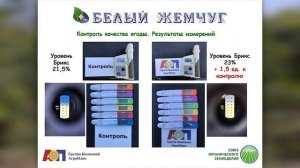 Результаты применения ПРК _Белый Жемчуг Виноград + Mg хелат_ в Калининском районе