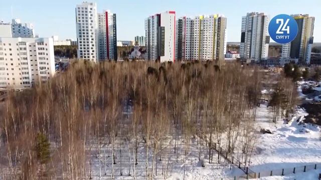 Продолжается голосование за концепции по Формированию комфортной городской среды смотреть онлайн