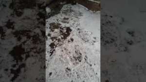 Скидываем машинку с 5 этажа!!!!!!!