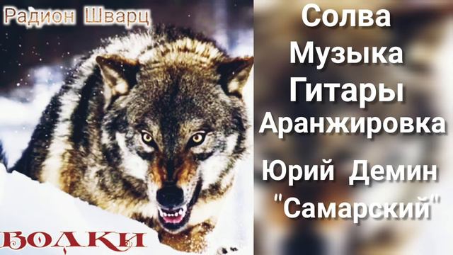 "ВОЛКИ" Радион Шварц #юрийсамарский #радионшварц #волки #шансон смотреть онлайн