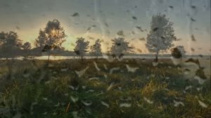 А душа болит и болит  Михаил и Ирина Круг