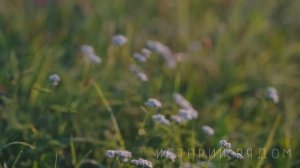 Произнося прощальную речь, муж уже потирал руки. Как вдруг услышал…