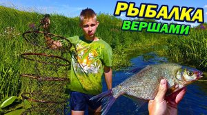 Рыбалка вершами на небольшой речке! Крупные лещи, караси и окуни!