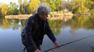 Карась на хлебную корку