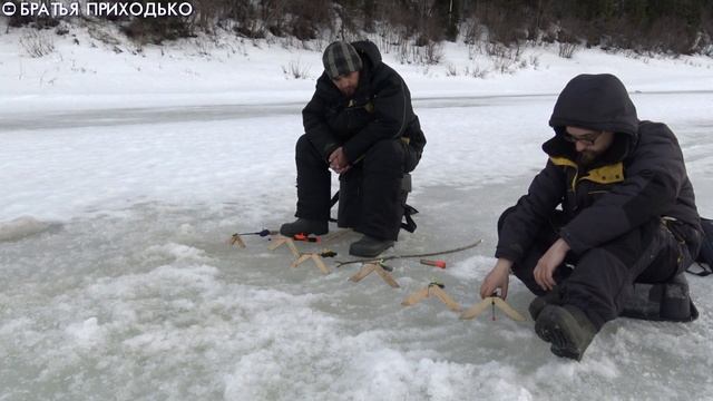 ХОРОШАЯ РЫБАЛКА НА СИГА