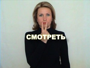 ЖЕСТОВЫЙ ЯЗЫК. СЛОВАРЬ. Смотреть