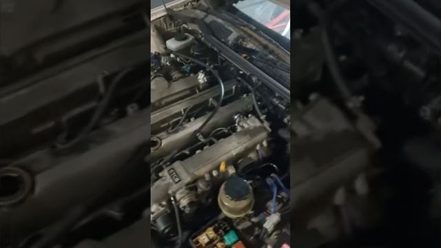 TOMS TOYOTA CHASER 1JZ GTE VVTI SHES ALIVE PT6