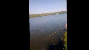 Воронежская область , пруд "Разинский" землянск