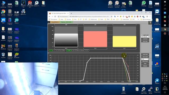 Освещение для пресноводной ширмы. Simple lighting for a freshwater aquarium.
