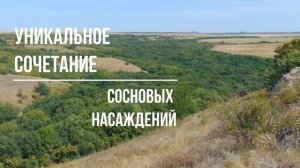 Ботанический заказник «Обушок»