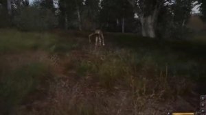 Тварь! Кричит Излом. S T A L K E R   Lost Alpha