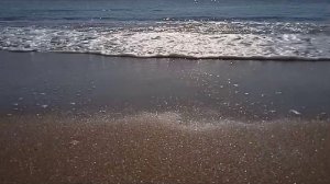 Ласковое море, горячий песок