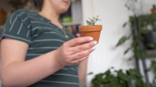 Spring time and new home plant tour!! смотреть онлайн