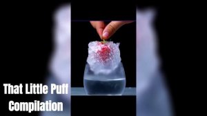 That Little Puff Compilation | Life Hacks Experiment Meow