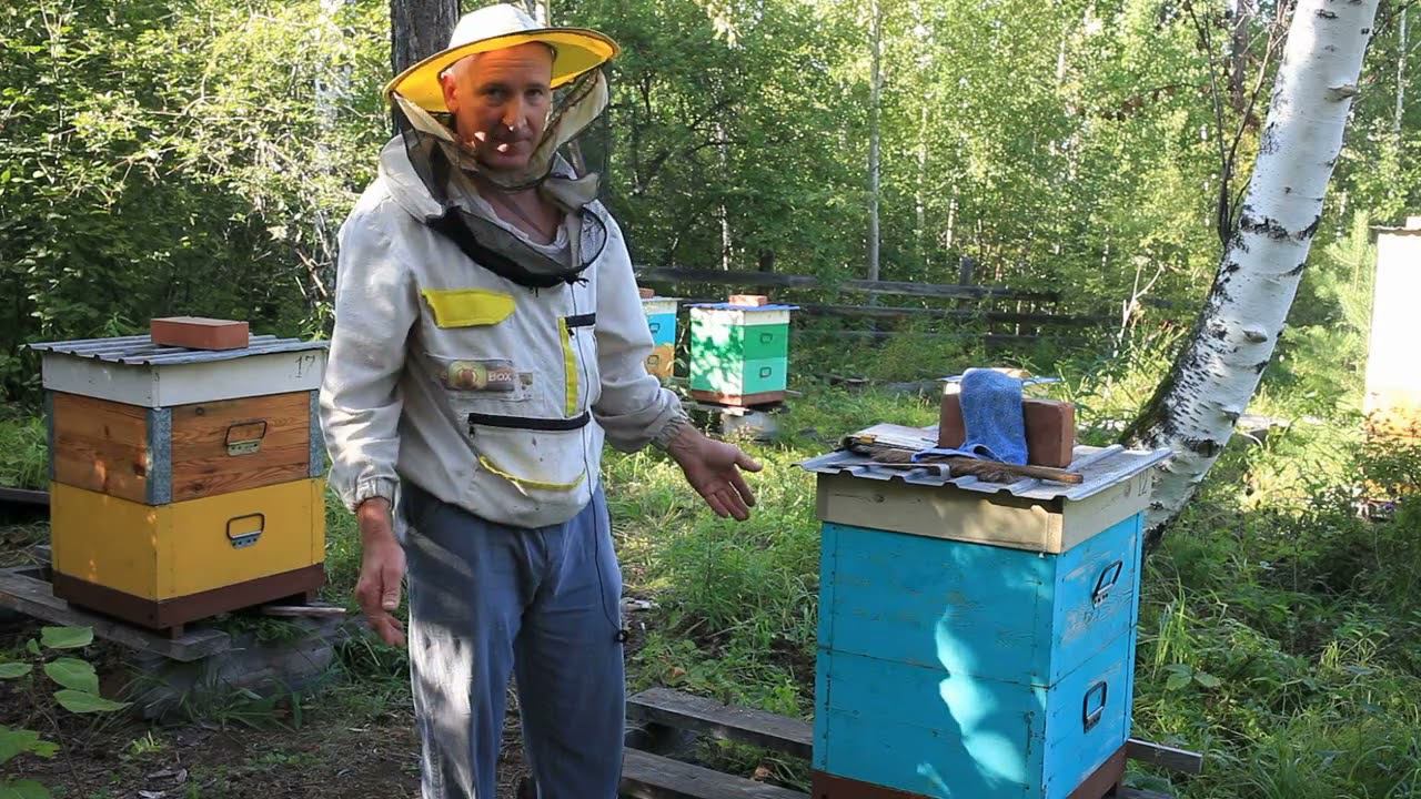 Отбираю мед сокращаю всех в 2 корпуса. смотреть онлайн