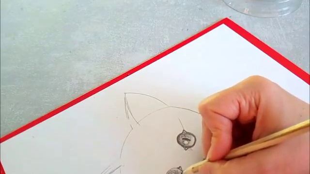Как нарисовать котёнка карандашом. Портрет кошки. Уроки рисования для начинающих смотреть онлайн