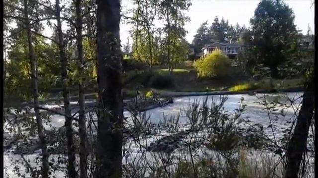 Жизнеутверждающее стихотворение Вадима Воробьёва ?ЛЮДИ,ВЕРЬТЕ В ЧУДЕСА?читает НАДЕЖДА ФЕСАЙ смотреть онлайн