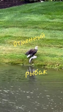 Отменный рыбак