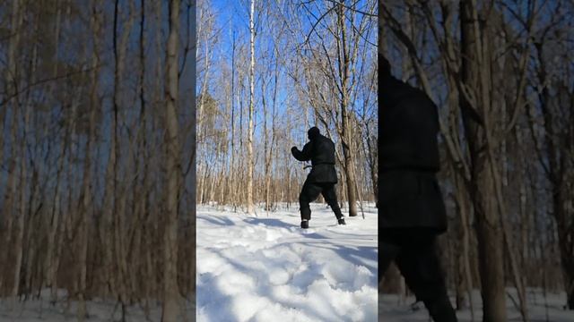 Северный ниндзя - Рогатый уракен (25.03.2022)