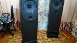 Акустика своими руками TQWP