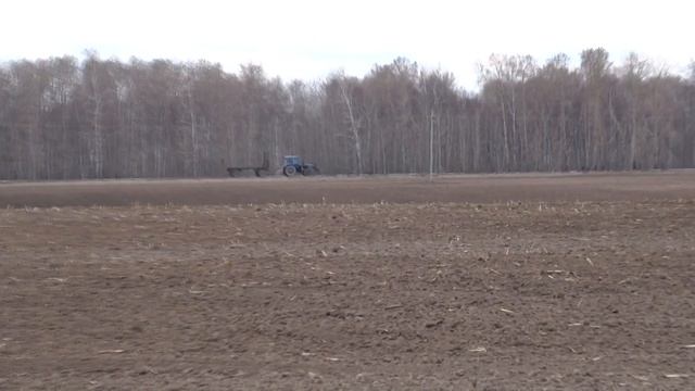 Очередной коп на распашке! смотреть онлайн