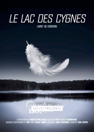 Swan Lake, Angelin Preljocaj