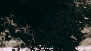 Женщина с зелеными глазами / Капитан Немо 1975