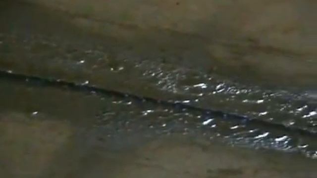 Циркульная канатная пила CEDIMA CAZ-3200 смотреть онлайн