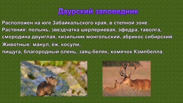 11 января   День заповедников и национальных парков