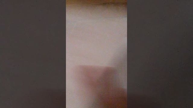 Моя тетрадь с рисунками по клеточкам смотреть онлайн