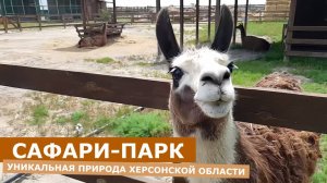 Уникальная природа Херсонской области: САФАРИ-ПАРК на Арабатской стрелке