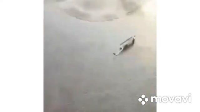 Сахалин-Краш-Тест-Volkswagen-Polo-2020 смотреть онлайн