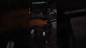 Дисковые тормоза на задней мост Газель