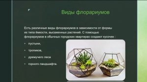 Флорариум, проект 6 класс.