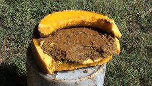 Превращаем забрус в чистый воск.