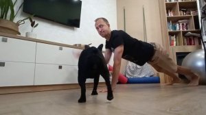 Марафон Планка30. Петух, собака и планка! 2 минуты 15 секунд