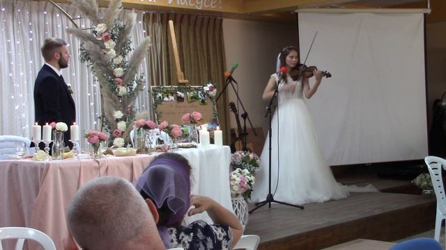 На скрипке
