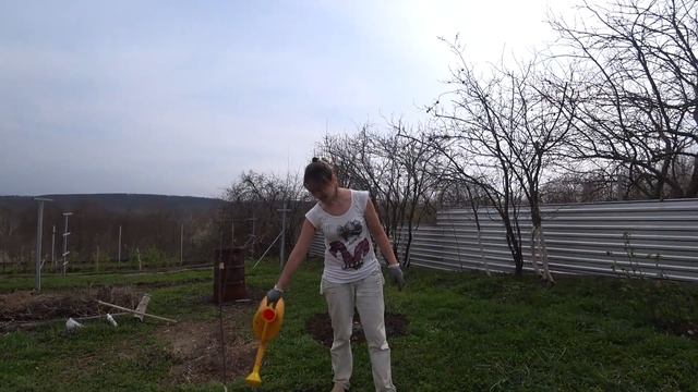 Рассаживаем мультифлору, удобряем деревья, продолжение... смотреть онлайн