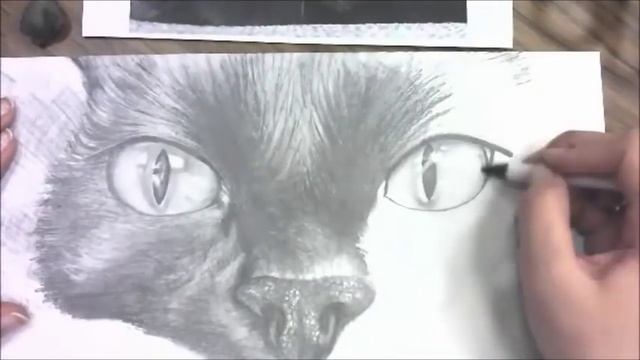 Ms. Sutton Raven Time Lapse Drawing смотреть онлайн