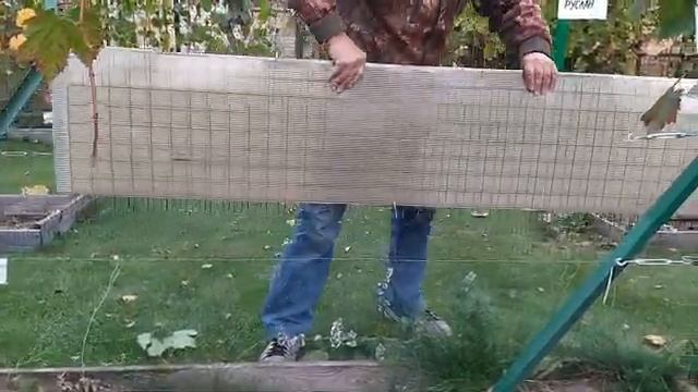 Учимся правильно обрезать виноград осенью! смотреть онлайн