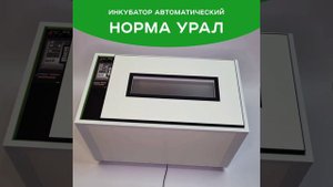 Норма Урал