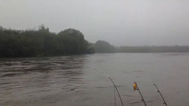 IMG 7128 смотреть онлайн