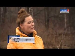 Весенняя подкормка плодово ягодных культур.  Шубина Людмила Николаевна. Сад Шубиной.