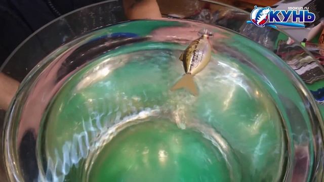 Искусственные приманки MotoLure™ смотреть онлайн