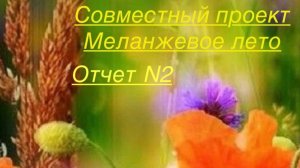 СП Меланжевое лето. Отчет 2. #меланжевоелето