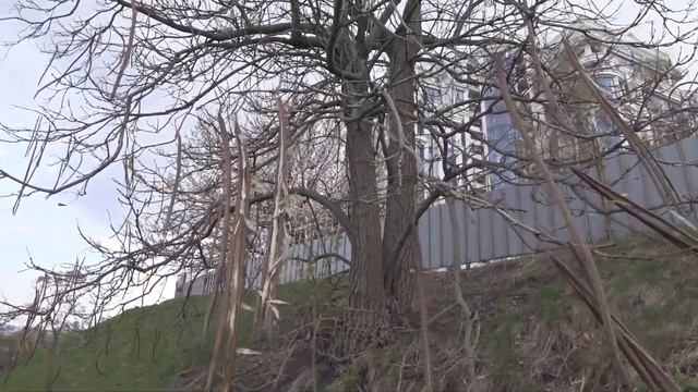 Cyclist's diary. Прогулка по Бельведеру. 17 апреля 2019 смотреть онлайн