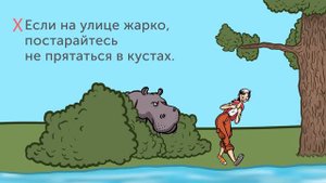 13 советов как пережить наподение диких животных